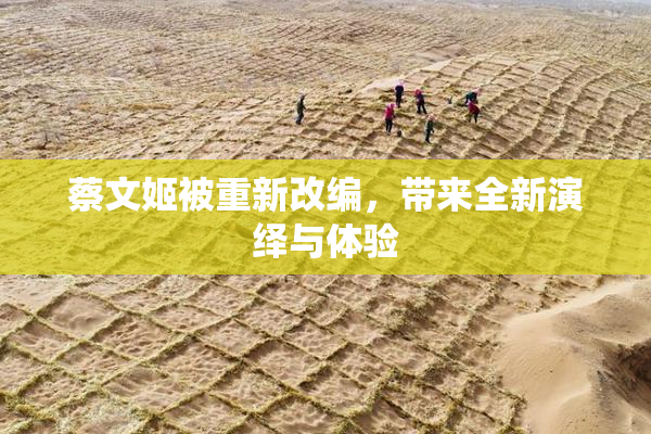 蔡文姬被重新改编，带来全新演绎与体验