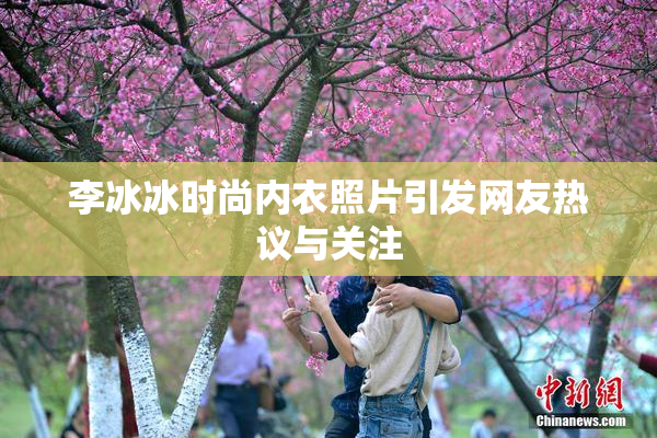 李冰冰时尚内衣照片引发网友热议与关注
