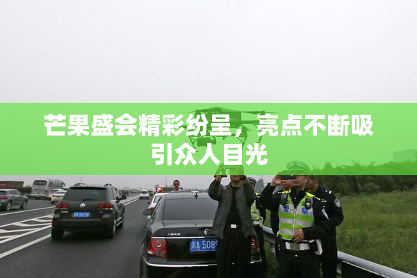 芒果盛会精彩纷呈，亮点不断吸引众人目光