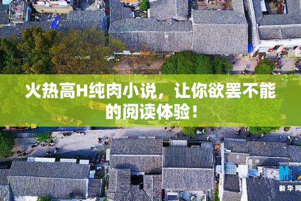 火热高H纯肉小说，让你欲罢不能的阅读体验！