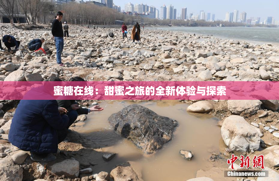蜜糖在线：甜蜜之旅的全新体验与探索