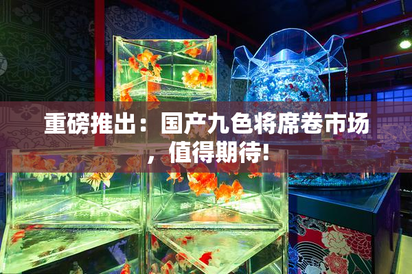 重磅推出：国产九色将席卷市场，值得期待!