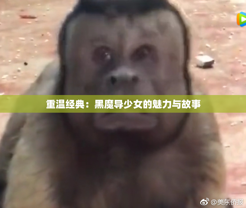 重温经典：黑魔导少女的魅力与故事