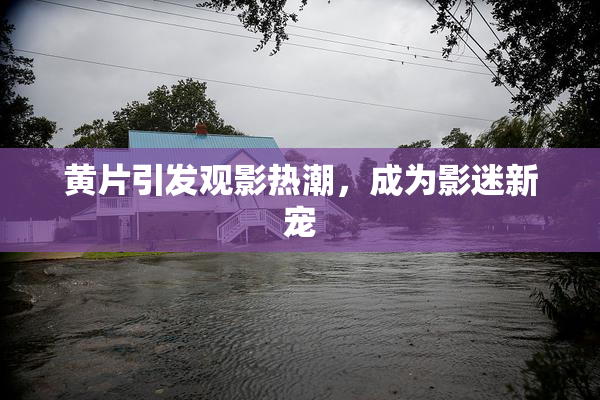 黄片引发观影热潮，成为影迷新宠