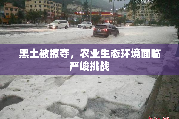 黑土被掠夺，农业生态环境面临严峻挑战