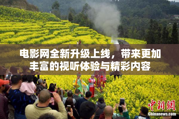 电影网全新升级上线，带来更加丰富的视听体验与精彩内容