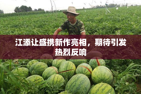 江添让盛携新作亮相，期待引发热烈反响