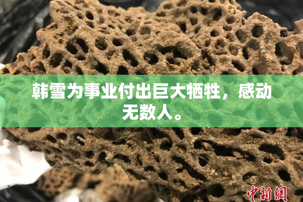 韩雪为事业付出巨大牺牲，感动无数人。