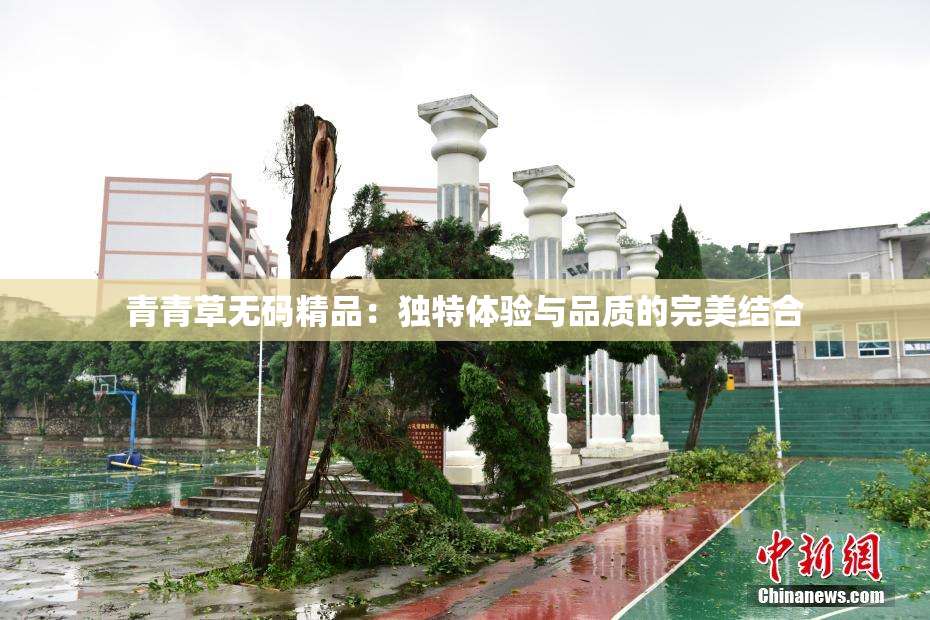 青青草无码精品：独特体验与品质的完美结合