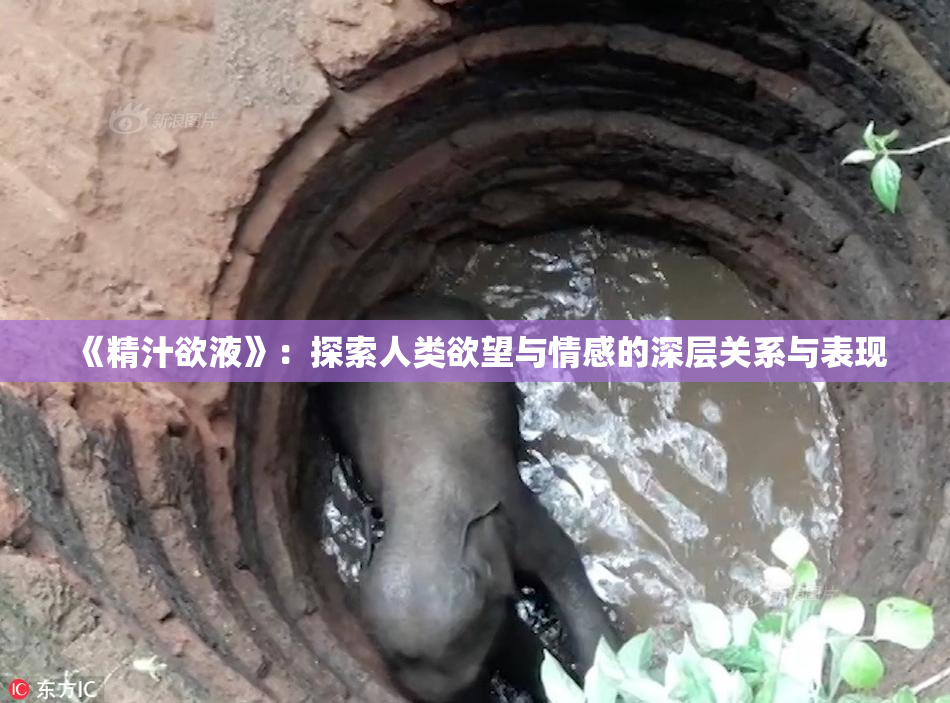 《精汁欲液》：探索人类欲望与情感的深层关系与表现
