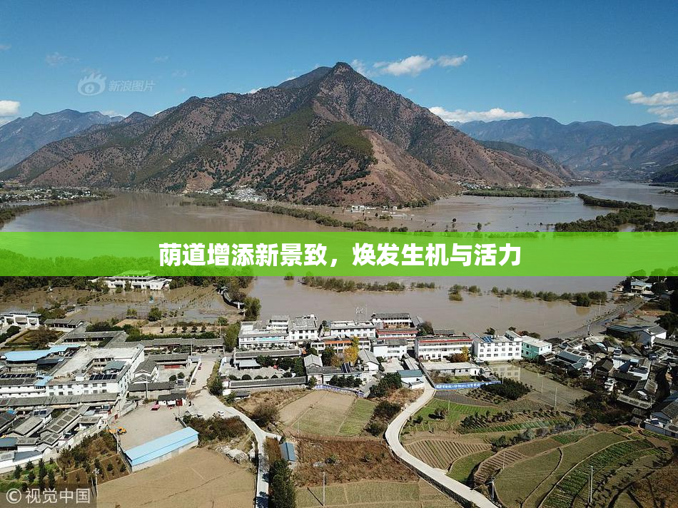 荫道增添新景致，焕发生机与活力