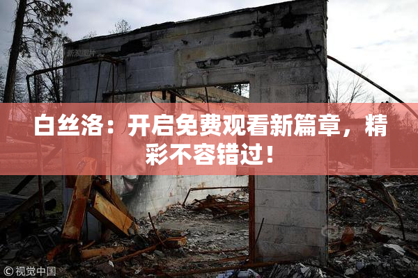 白丝洛：开启免费观看新篇章，精彩不容错过！