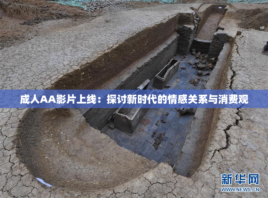 成人AA影片上线：探讨新时代的情感关系与消费观