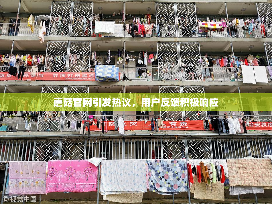 蘑菇官网引发热议，用户反馈积极响应