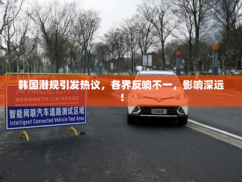 韩国潜规引发热议，各界反响不一，影响深远！