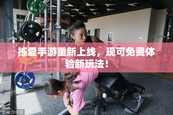 拣爱手游重新上线，现可免费体验新玩法！