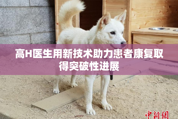 高H医生用新技术助力患者康复取得突破性进展
