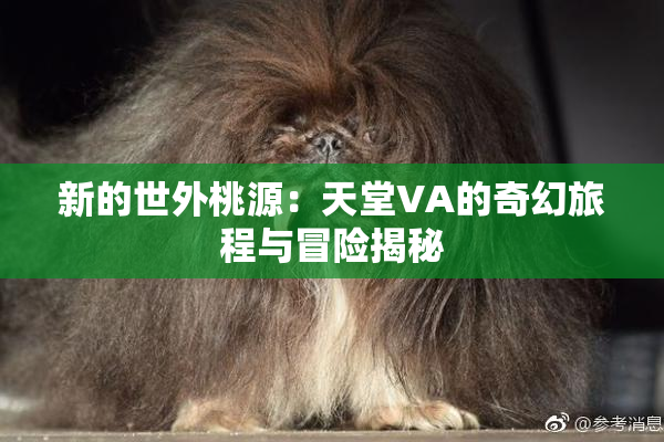 新的世外桃源：天堂VA的奇幻旅程与冒险揭秘
