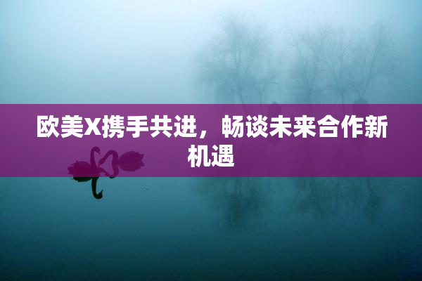 欧美X携手共进，畅谈未来合作新机遇