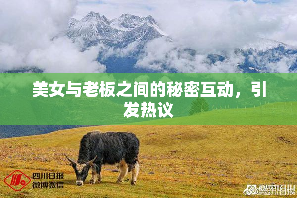 美女与老板之间的秘密互动，引发热议