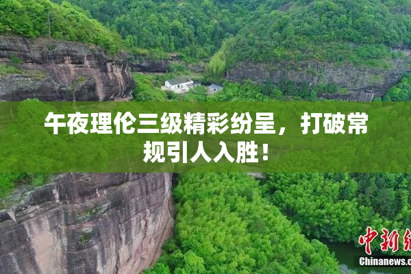 午夜理伦三级精彩纷呈，打破常规引人入胜！
