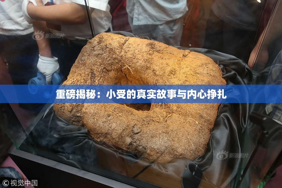 重磅揭秘：小受的真实故事与内心挣扎