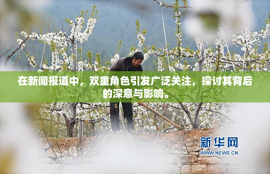 在新闻报道中，双重角色引发广泛关注，探讨其背后的深意与影响。