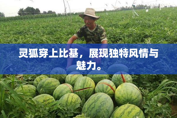 灵狐穿上比基，展现独特风情与魅力。