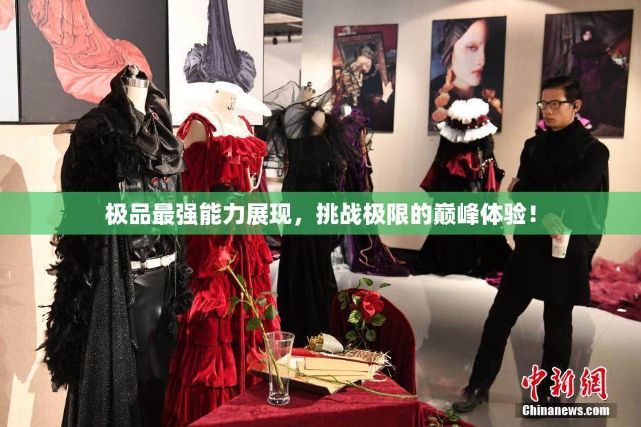 极品最强能力展现，挑战极限的巅峰体验！