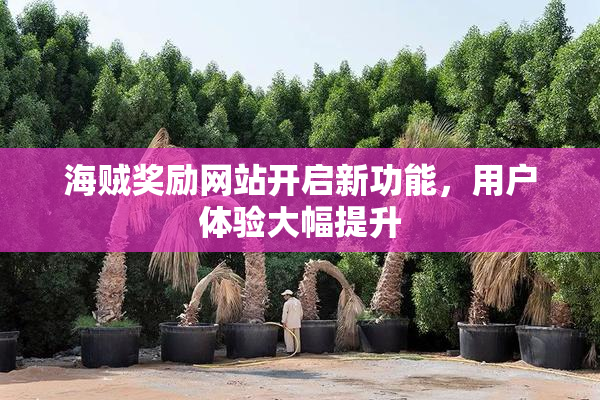 海贼奖励网站开启新功能，用户体验大幅提升