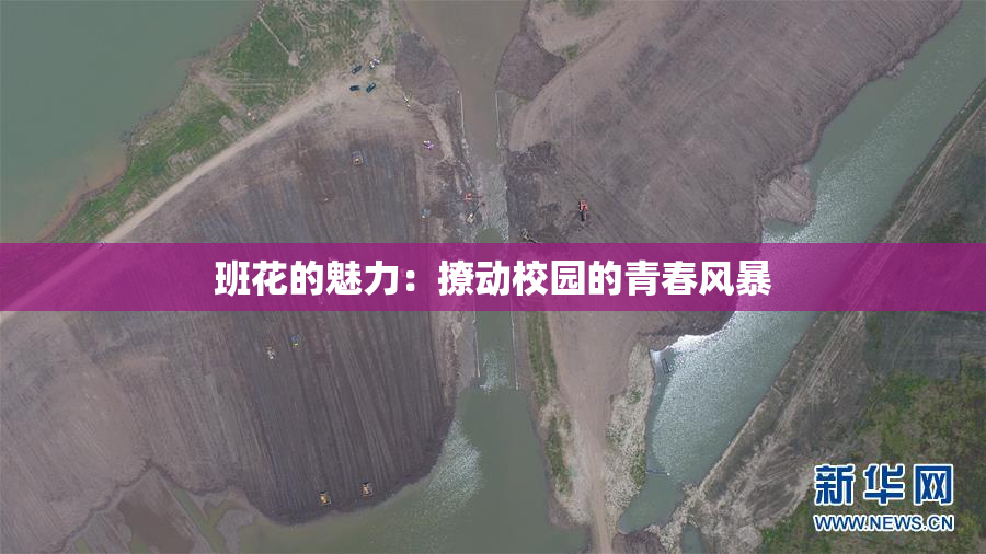 班花的魅力：撩动校园的青春风暴