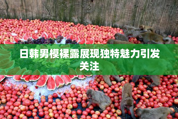 日韩男模裸露展现独特魅力引发关注