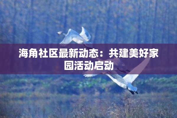 海角社区最新动态：共建美好家园活动启动
