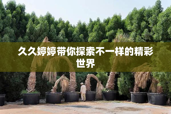 久久婷婷带你探索不一样的精彩世界