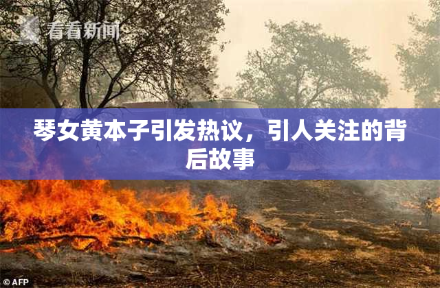 琴女黄本子引发热议，引人关注的背后故事