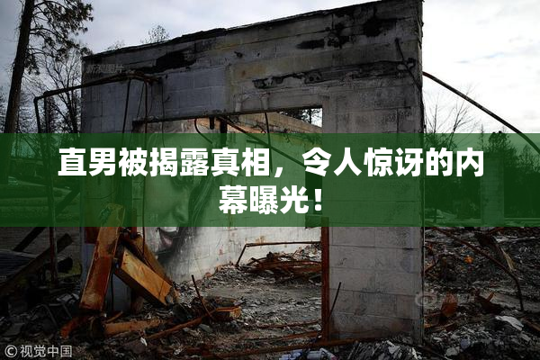 直男被揭露真相，令人惊讶的内幕曝光！