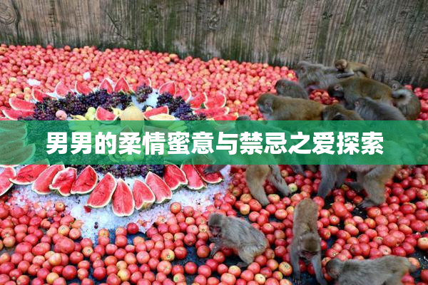 男男的柔情蜜意与禁忌之爱探索