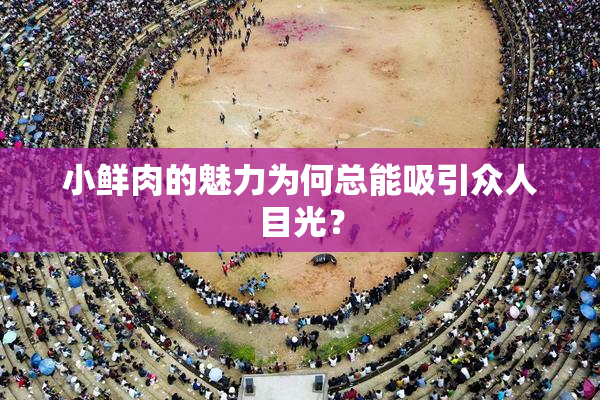 小鲜肉的魅力为何总能吸引众人目光？