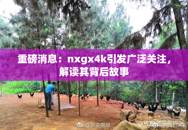 重磅消息：nxgx4k引发广泛关注，解读其背后故事