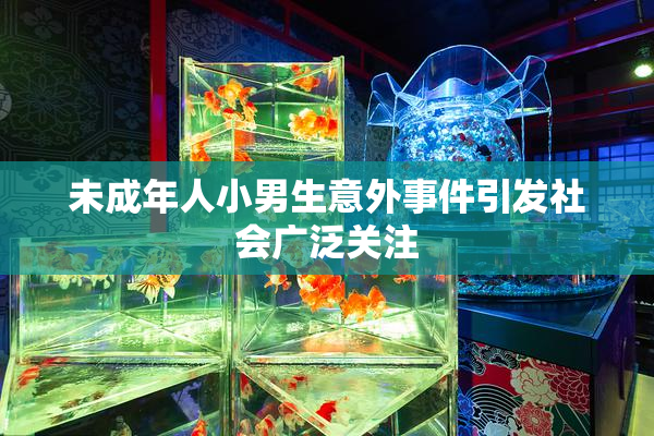 未成年人小男生意外事件引发社会广泛关注