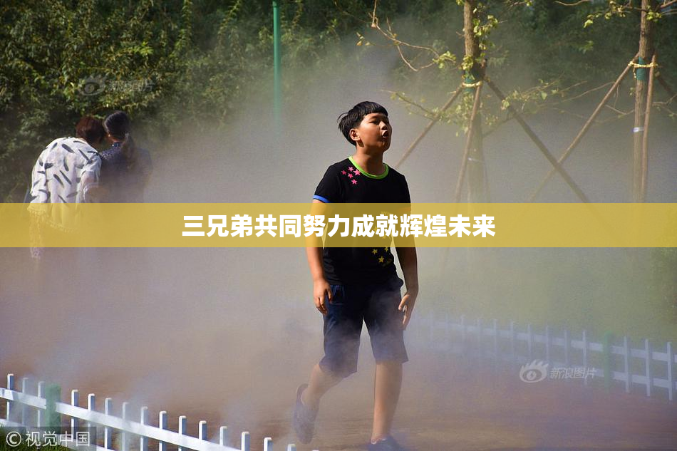 三兄弟共同努力成就辉煌未来