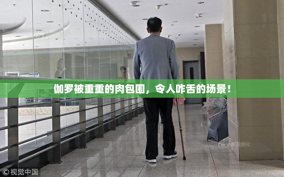 伽罗被重重的肉包围，令人咋舌的场景！