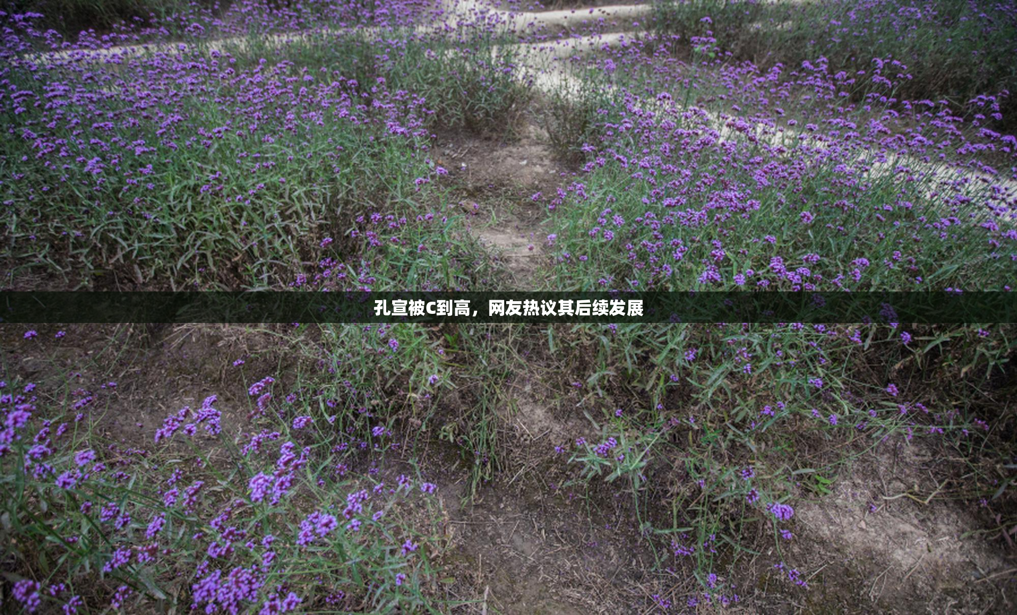 孔宣被C到高，网友热议其后续发展