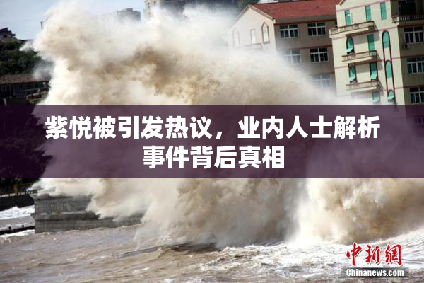 紫悦被引发热议，业内人士解析事件背后真相