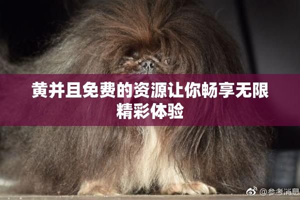 黄并且免费的资源让你畅享无限精彩体验