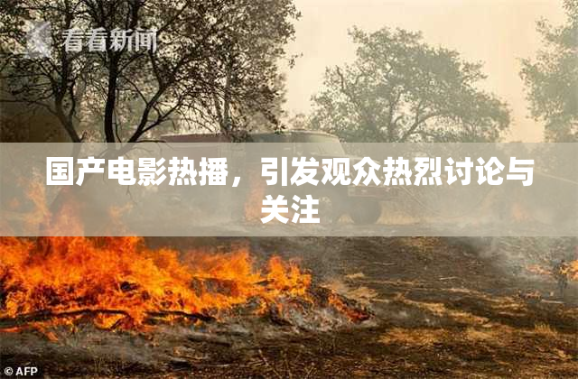 国产电影热播，引发观众热烈讨论与关注