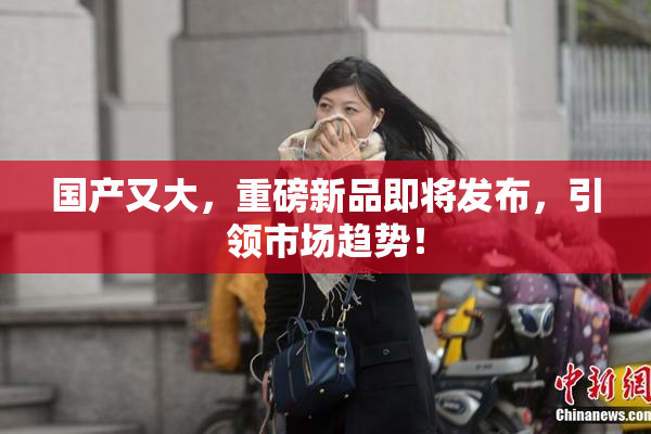 国产又大，重磅新品即将发布，引领市场趋势！