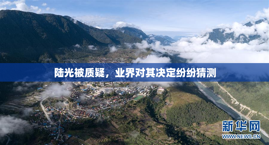 陆光被质疑，业界对其决定纷纷猜测