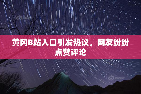黄冈B站入口引发热议，网友纷纷点赞评论