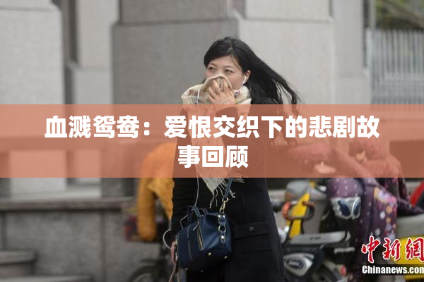 血溅鸳鸯：爱恨交织下的悲剧故事回顾